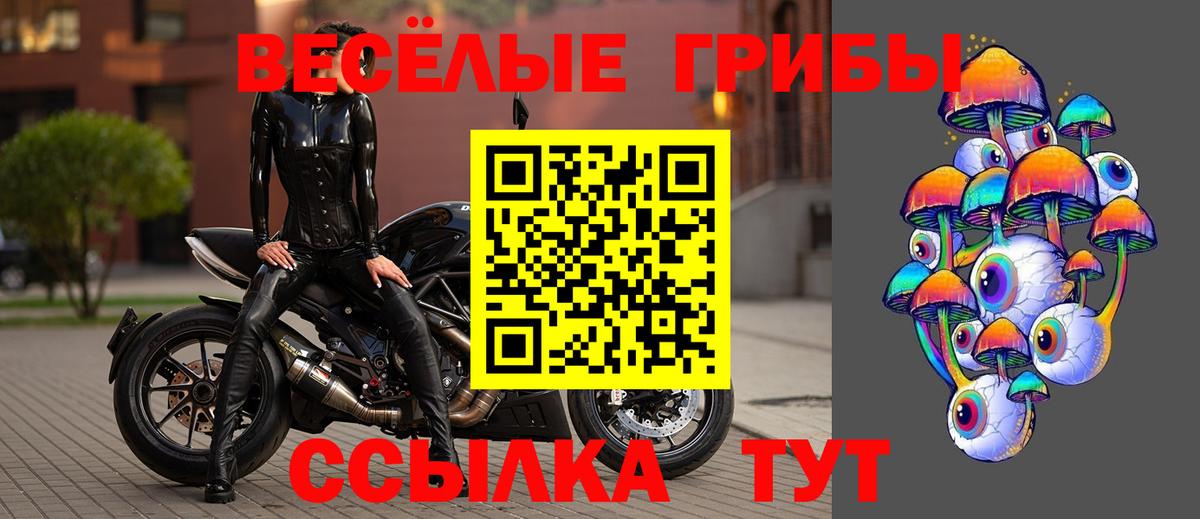 Ейск  Галлюциногенные грибы мицелий  Вход с VPN 